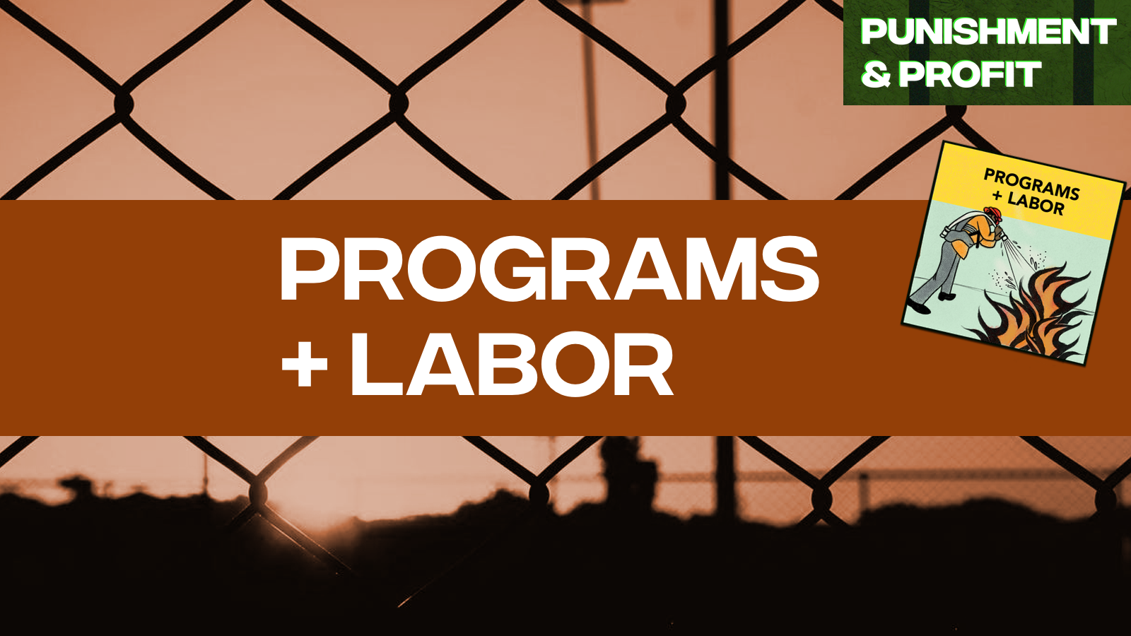 Punishment & Profit: Programs & Labor