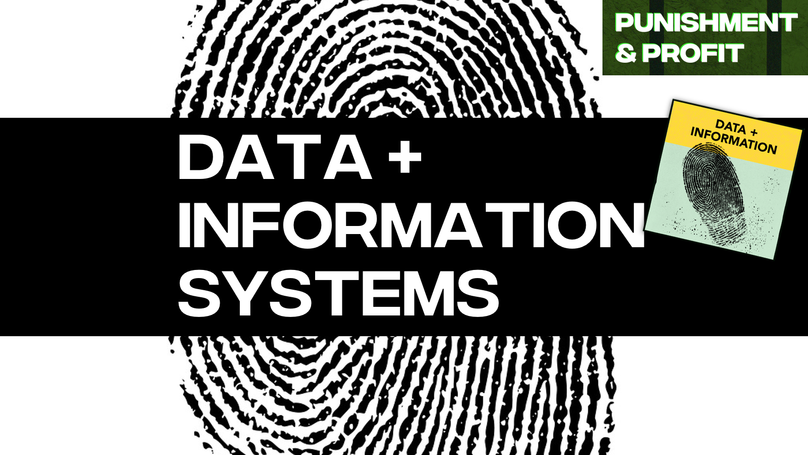 Punishment & Profit: Data and Information Systems